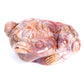 4" Ocean Jasper Carved Money Toad Figurine Realistic Crystal Healing Quartz Decor