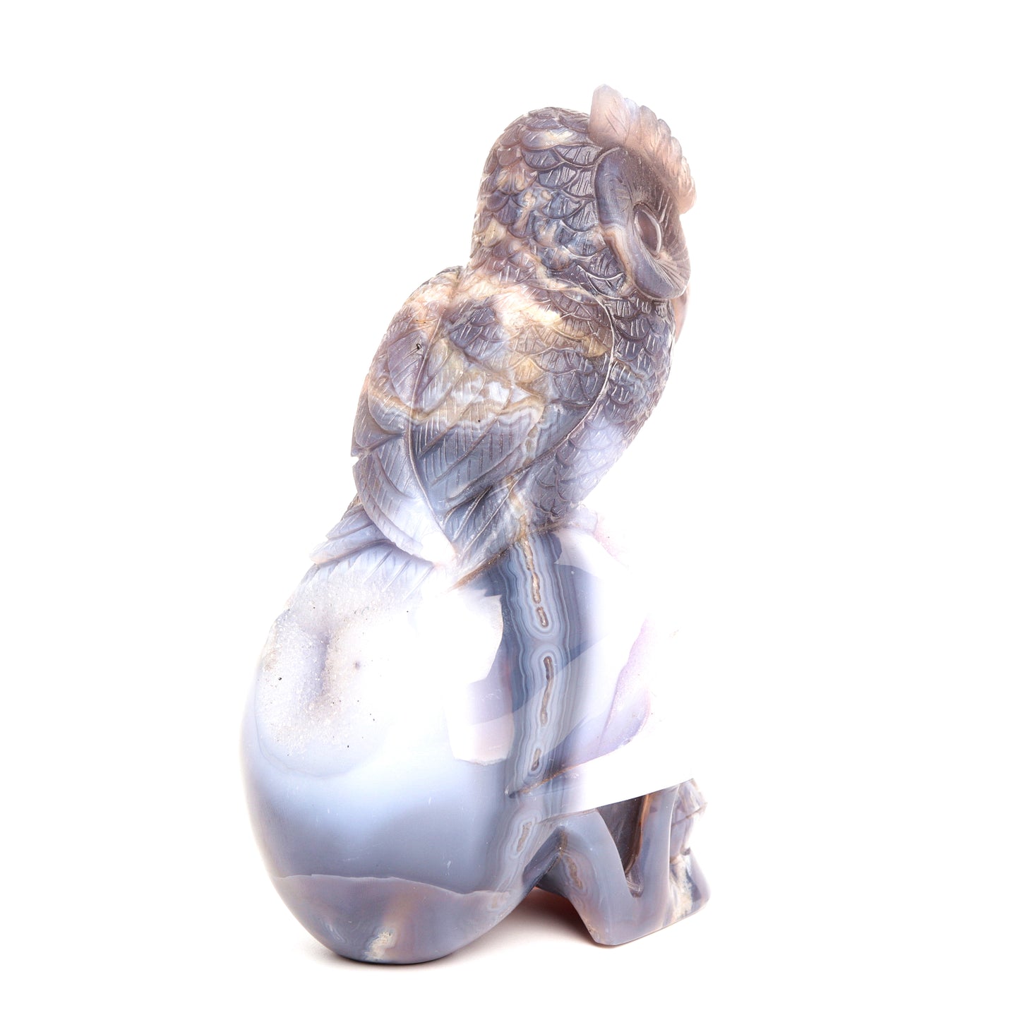 7" Druzy Agate Carved Skull with Owl Sculpture Crystal Quartz Healing