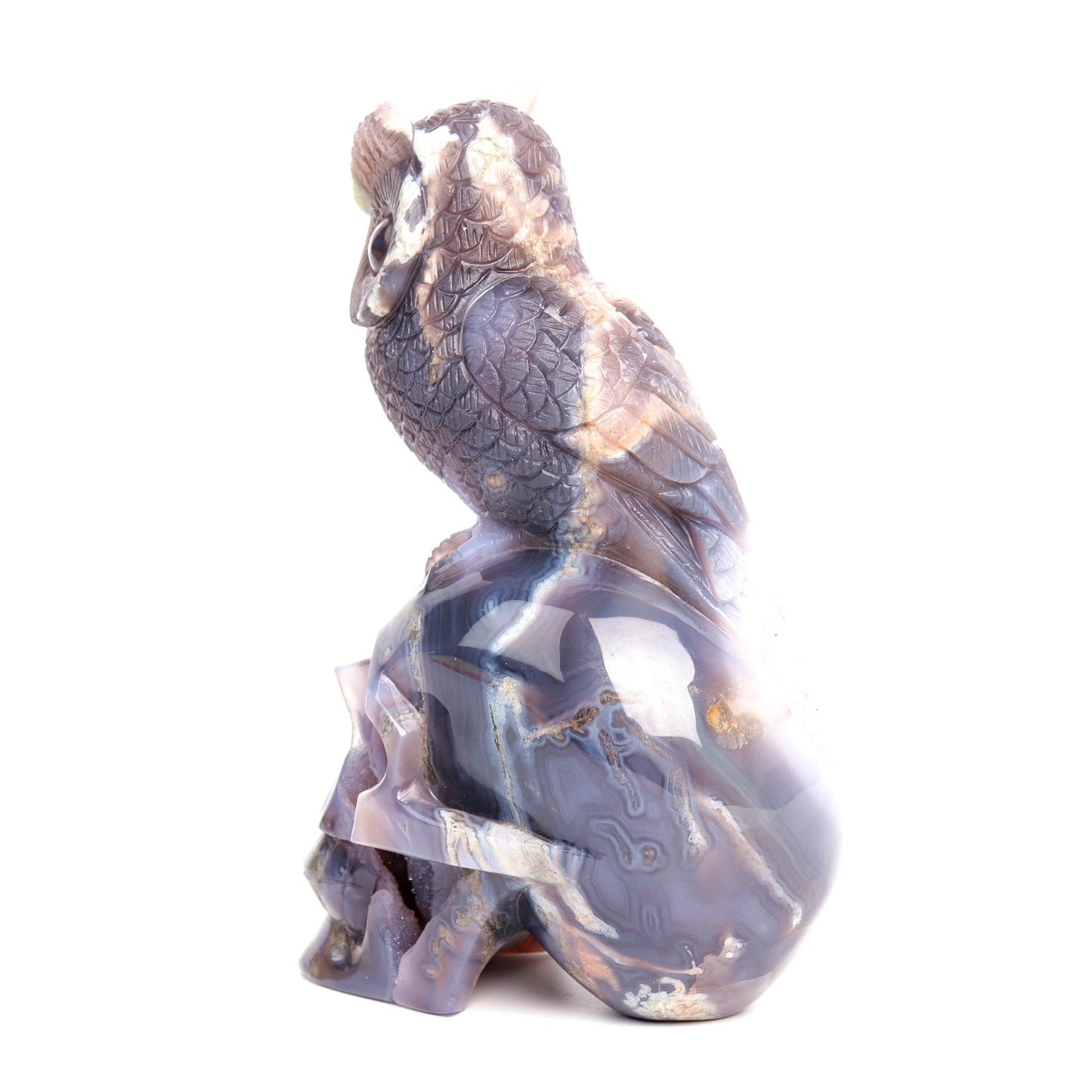 7" Druzy Agate Carved Skull with Owl Sculpture Crystal Quartz Healing