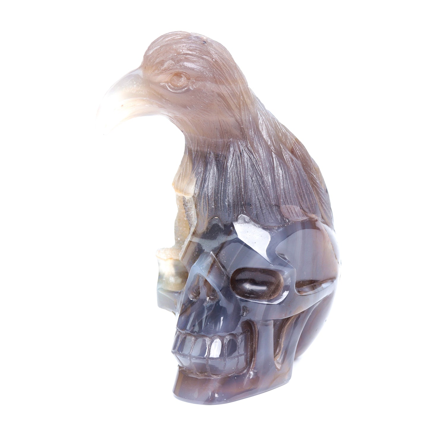 5.5" Druzy Agate Carved Skull Raven Head Figurine Crystal Quartz Healing