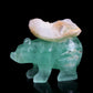 flourite bear