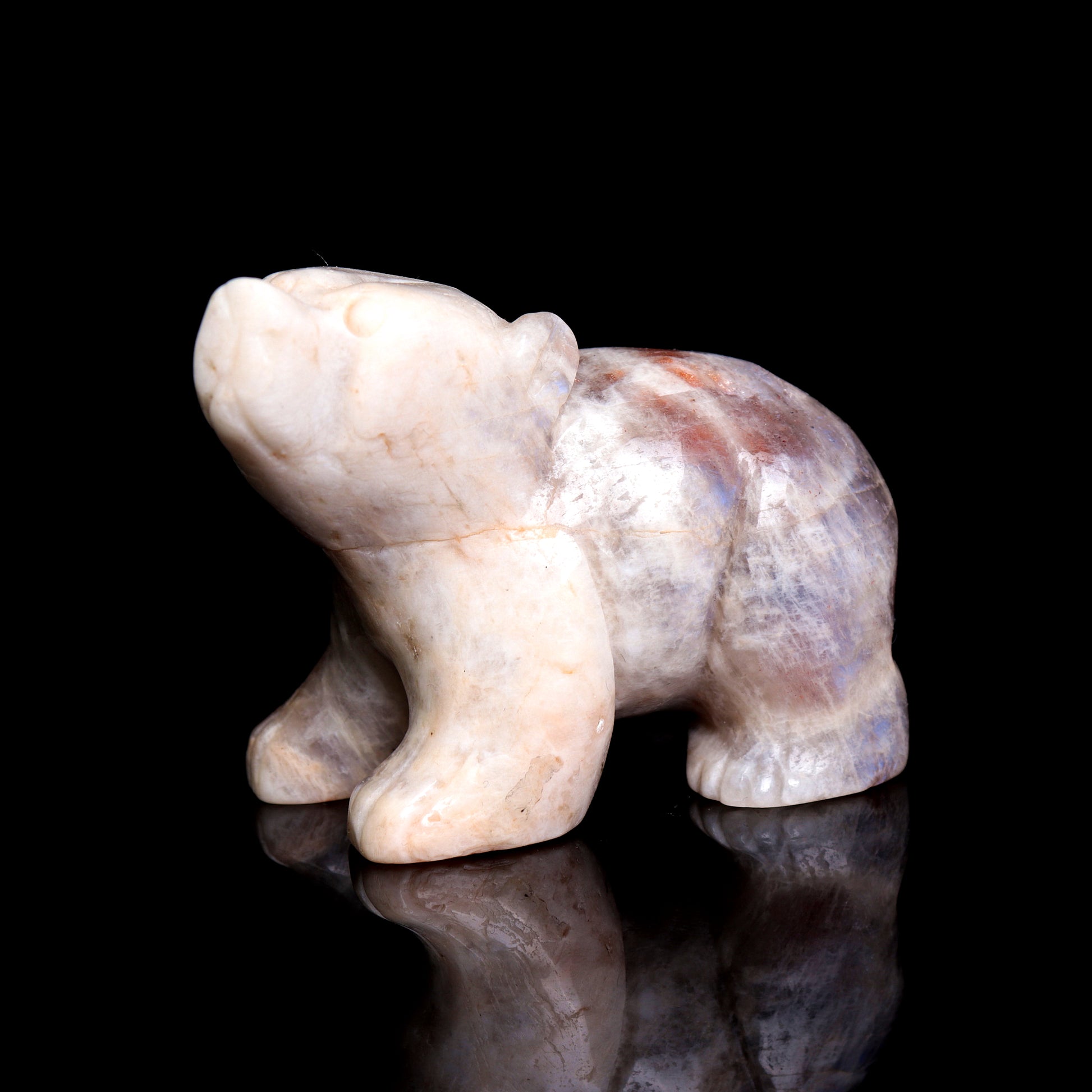 moonstone bear