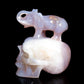 5.5" Druzy Agate Carved Crystal Skull Elephant Figurine Quartz Arts