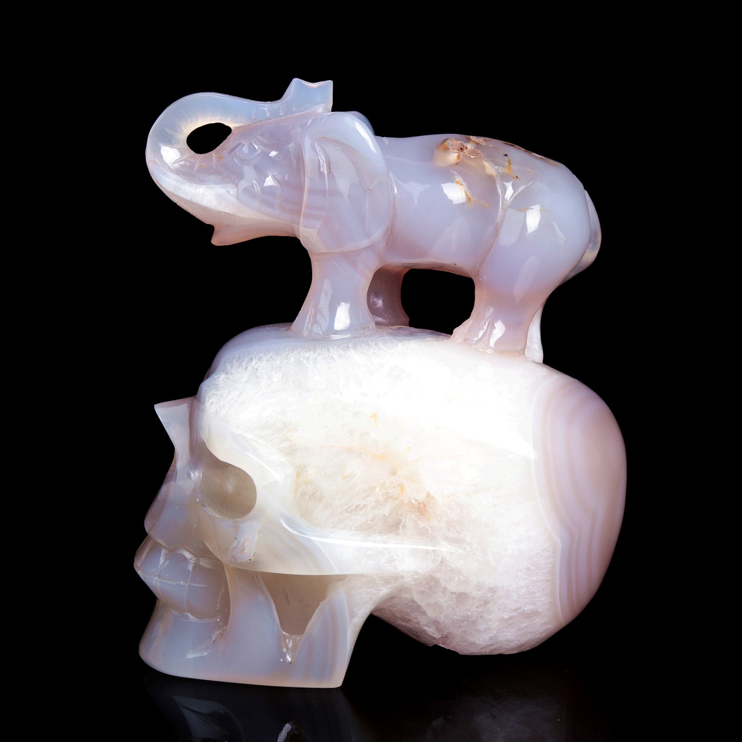 5.5" Druzy Agate Carved Crystal Skull Elephant Figurine Quartz Arts