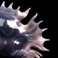 Masterpiece: 8" Amethyst Agate Carved Crystal Fish Sculpture Art Collection