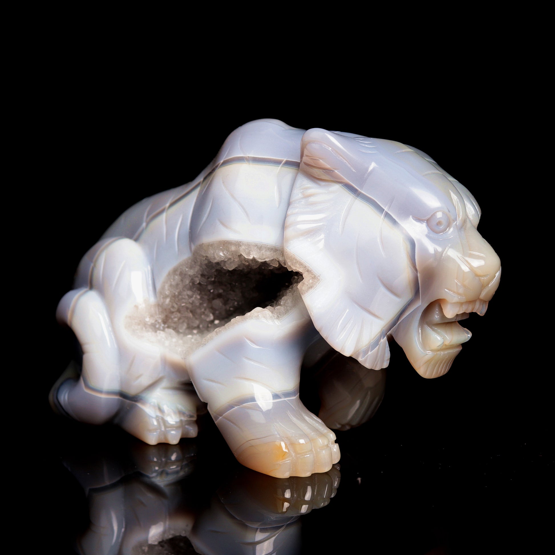 druzy tiger