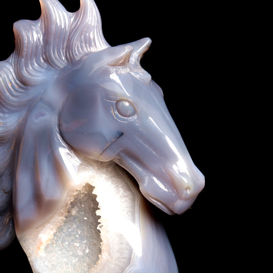 crystal horse head