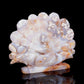  Flower Agate