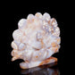 6.5" Flower Agate Crystal Peacock Figurine Realistic Healing Quartz