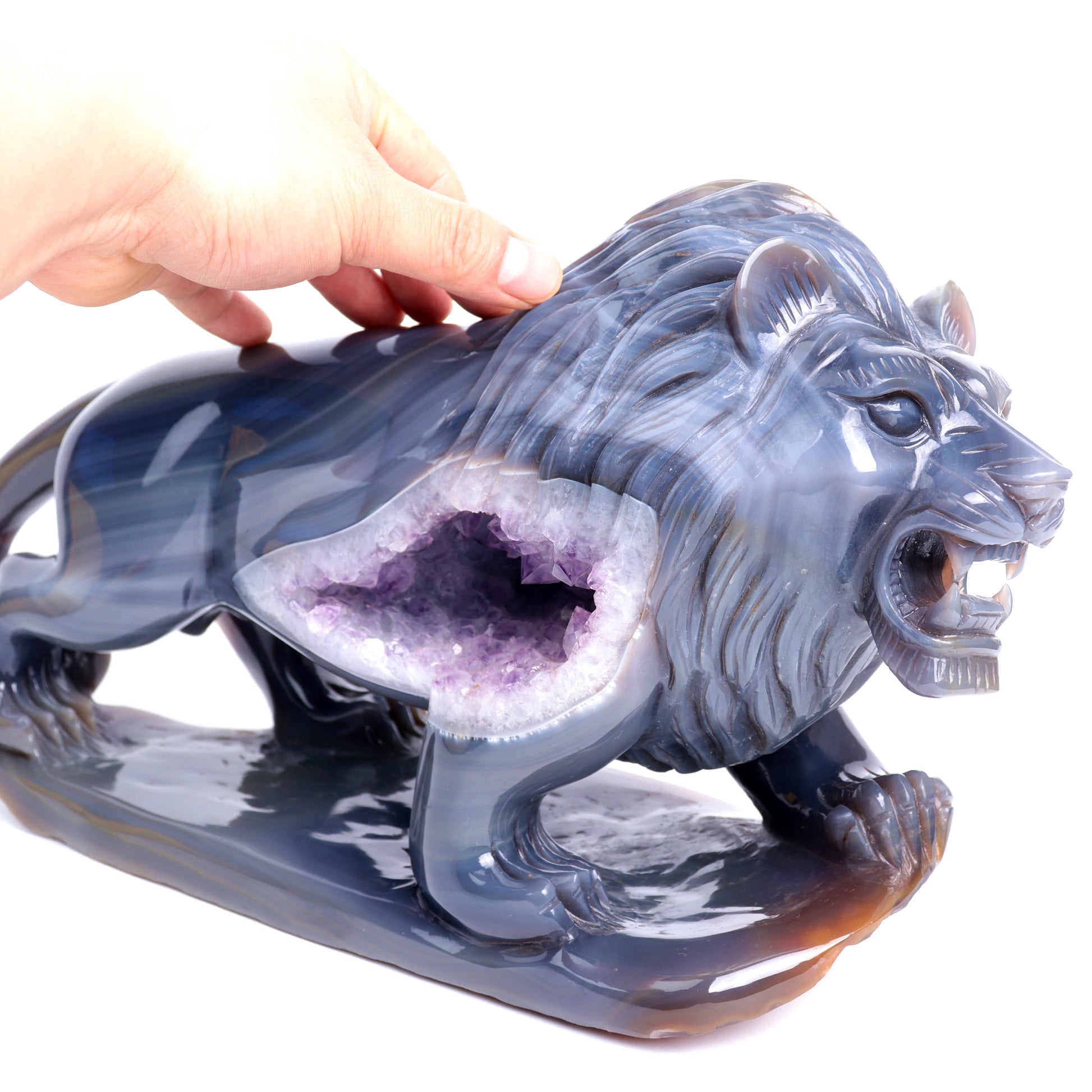 amethyst lion