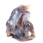 6.2" Druzy Agate Carved Crystal Wolf Figurine Quartz Healing