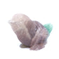 4.2" Fluorite Carved Crystal Bird Figurine Healing Quartz