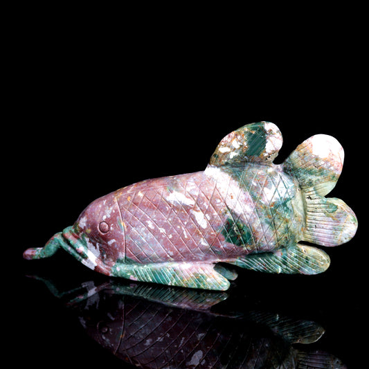 ocean jasper fish