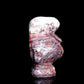 4" Mexican Crazy Lace Agate Carved Crystal Walrus Figurine Healing