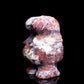 4" Mexican Crazy Lace Agate Carved Crystal Walrus Figurine Healing