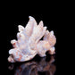 4" Blue Flower Agate Carved Crystal Nine Tail Fox Figurine Healing Quartz