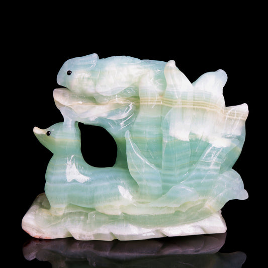 Caribbean Calcite fox