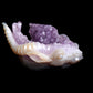 Masterpiece: Amazing 10" Amethyst Geode Agate Carved Goat Ram Head Sculpture Arts