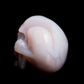 2.5" HandCarved Druzy agate Crystal Skull Healing Quartz Reiki Gift