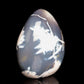 5" Natural Orca Agate Crystal Freeform Reiki Healing Tower