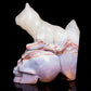 4.5" Ocean Jasper Crystal Skull With Cat Figurine Quartz Healing Decor Gift