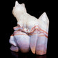 4.5" Ocean Jasper Crystal Skull With Cat Figurine Quartz Healing Decor Gift