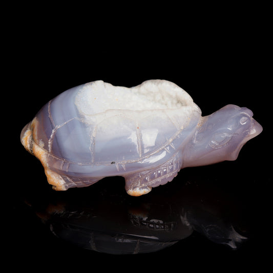 4.5" Druzy Agate Carved Crystal tortoise Figurine Quartz Turtle Decor