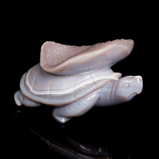 4.5" Druzy Agate Carved Crystal tortoise Figurine Quartz Turtle Decor