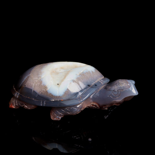 5" Druzy Agate Carved Crystal tortoise Figurine Quartz Turtle Decor