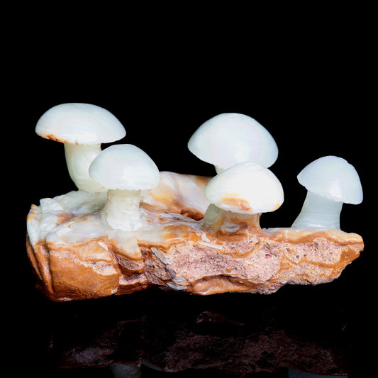 5.5" Afghan Jade Crystal Mushroom Figurine Healing Quartz Decor Gift