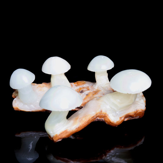 crystal mushroom