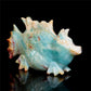 7" Amazonite Crystal Fish Pig Figurine Quartz Animal Carvings Decor