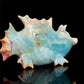 7" Amazonite Crystal Fish Pig Figurine Quartz Animal Carvings Decor