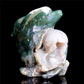 Crystal Dolphin