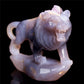 druzy lion