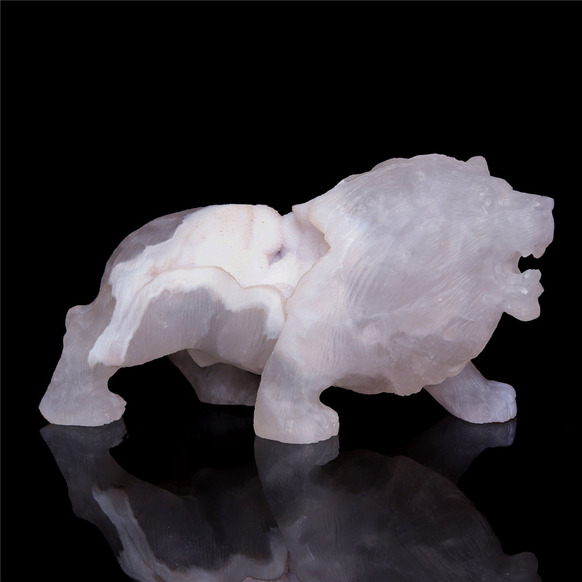 druzy lion