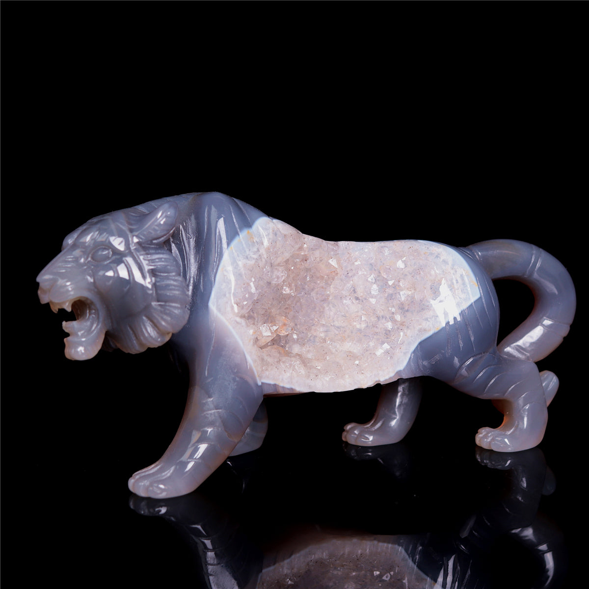 druzy tiger