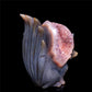 5.5" Amethyst Druzy Agate Crystal Nine Tail Fox Figurine Animal Carvings