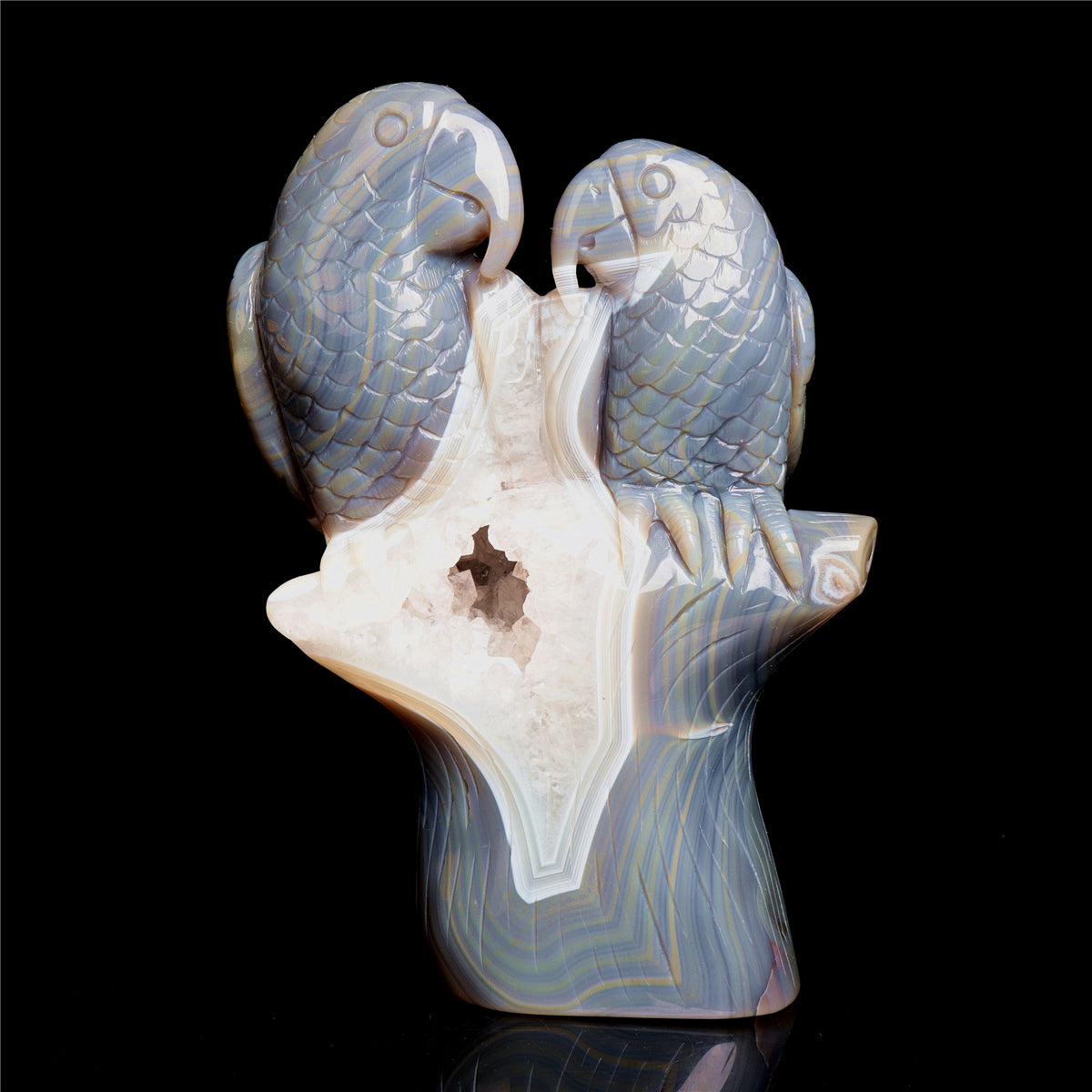 druzy parrot
