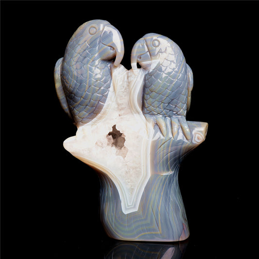 druzy parrot