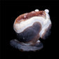 5" Amethyst Geode Crystal Bear Figurine Realistic Stone Animal Carvings