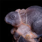8" Amethyst Agate Crystal Squirrel Figurine Realistic Stone Animal Carvings
