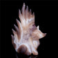 7" Amethyst Agate Crystal Nine Tail Fox Figurine Decor