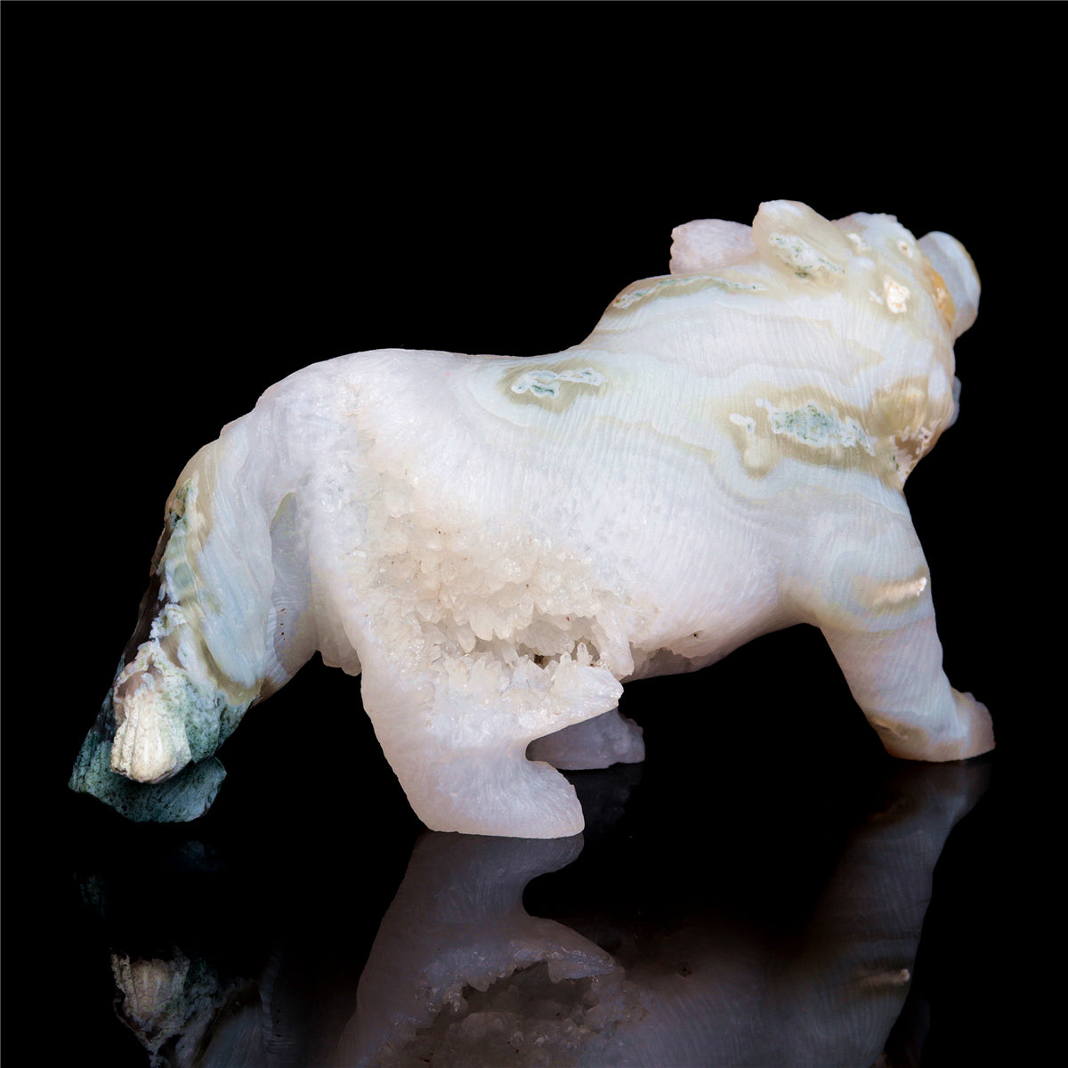 druzy wolf