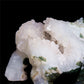 7.5" Druzy Moss Agate Crystal Bear Figurine Stone Animal Carvings