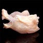 5.5" Druzy Agate Crystal Wolf Head Figurine Animal Carvings