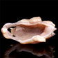 5.5" Druzy Agate Crystal Wolf Head Figurine Animal Carvings