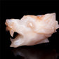 5.5" Flower Agate Crystal Wolf Head Figurine Animal Carvings