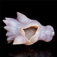 5" Druzy Agate Crystal Wolf Head Figurine Animal Carvings