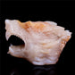 5" Druzy Agate Crystal Wolf Head Figurine Animal Carvings